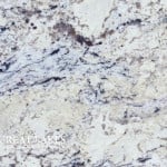 Delicatus-White-Close-up