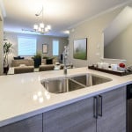 Cashmere Carrara Quartz