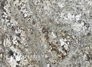Persa Cream Granite Slab